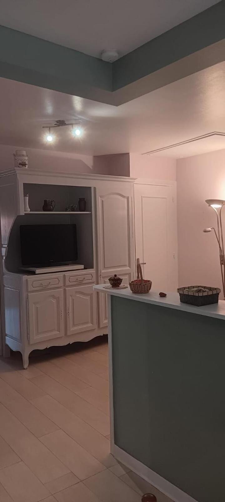 Appartement 120 M² Duplex Coeur Historique Au Calme Le Puy-en-Velay Exterior photo